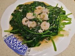 虾仁烧菠菜-老健康贾姨原味馆