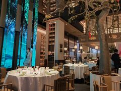 -桂满陇·海市蜃楼·黑金(国金店)