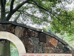 -王借岗森林公园