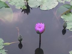 -黄埔古港