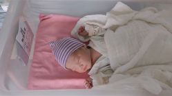 -南京市妇幼保健院(莫愁路院区)