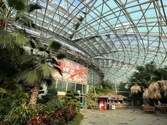 -大连森林动物园