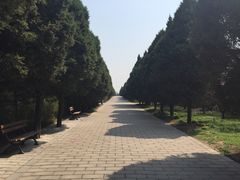 -秦始皇帝陵博物院-丽山园