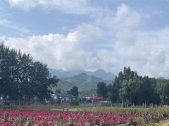 -百里山水画廊