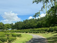 -露天矿生态公园