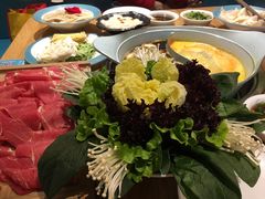 -青瓷火锅料理(西单大悦城店)