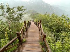 -大岭沟猕猴桃谷风景区
