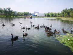 -长春市南湖公园