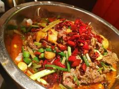 -成都娃娃花园餐厅 (南艺旗舰店)