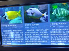-锦艺城海洋馆