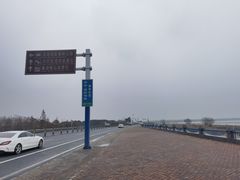 -合肥滨湖国家森林公园