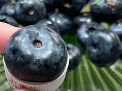 -沈阳市八家子水果批发市场