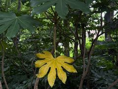 -合肥野生动物园