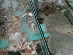 -石塘路海鲜市场(草厂中路店)