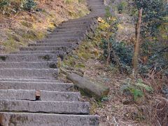-长沙黑麋峰国家森林公园