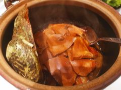 十五年澳鲍干锅炖-皖宴(合肥店)