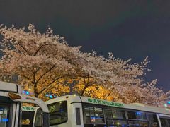 -上海南浦大桥长途旅游客运站