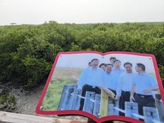 -北海金海湾红树林生态旅游区