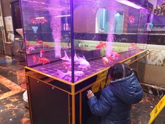 -便宜坊烤鸭店(航天桥店)