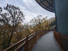 -少华山国家森林公园