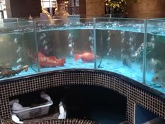 -观澜湖酒店·邀月庭中餐厅