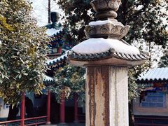 -兴教寺