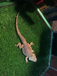 -酷嗒动物文化乐园(cutezoo西溪乐天城店)