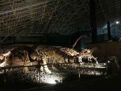 -世界恐龙谷景区