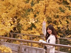 -重庆市江北嘴中央商务区中央公园