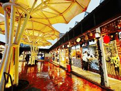 -东南亚风情赶摆街夜市