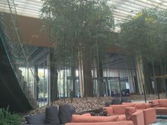 -北京望京凯悦酒店The Lounge大堂酒廊