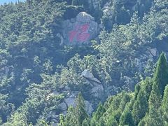 -龙口南山旅游景区