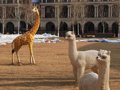 -天津五大道文化旅游区