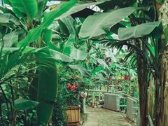-呀路古热带植物园