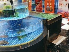水产区-光明渔港(海悦天地店)