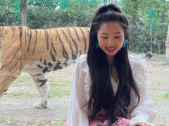 -上海野生动物园老虎餐厅