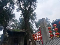 -关林