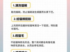 -心语宠物医院·急重症转诊中心·瑞辰华诺(南青路店)