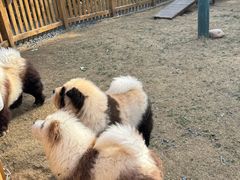 -茅山东方盐湖城景区