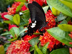 -广州白江湖森林公园