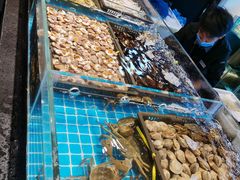 -九月海·海鲜自助(世纪东方店)