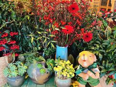 -萤火虫咖啡(后海店)