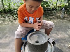 -前小桔亲子创意农场·草莓采摘·露营烧烤