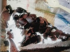 -金凤成祥(小西天店)