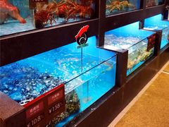 -徐记海鲜(开福寺|伍家岭店)
