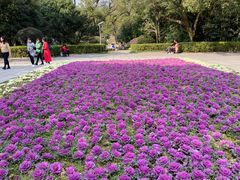 -觅山云南菜(泊富ICITY店)