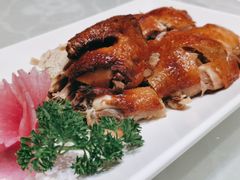 凯鸽风沙鸡-凯鸽酒楼•雁北民间菜(华北星店)