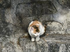 -华山风景名胜区