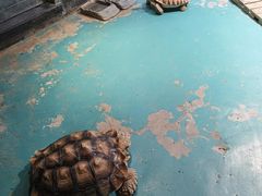 -海合安天津极地海洋公园
