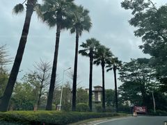 -美的鹭湖森林度假区